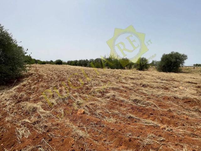 Terreno in vendita a Puglia, Bari