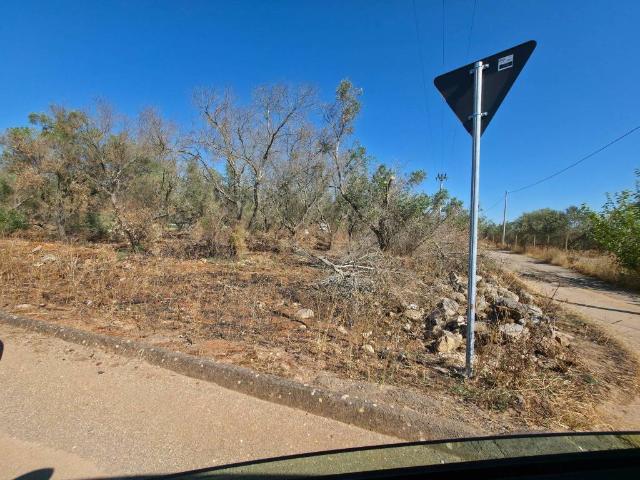Terreno in vendita a Puglia, Lecce