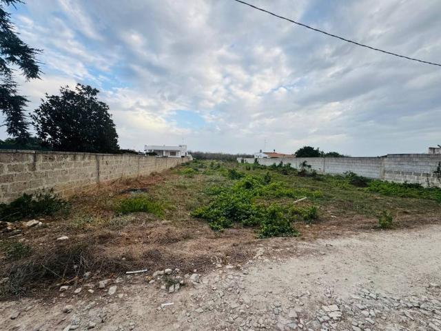 Terreno in vendita a Puglia, Lecce