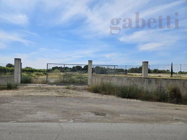 Terreno in vendita a Puglia, Lecce