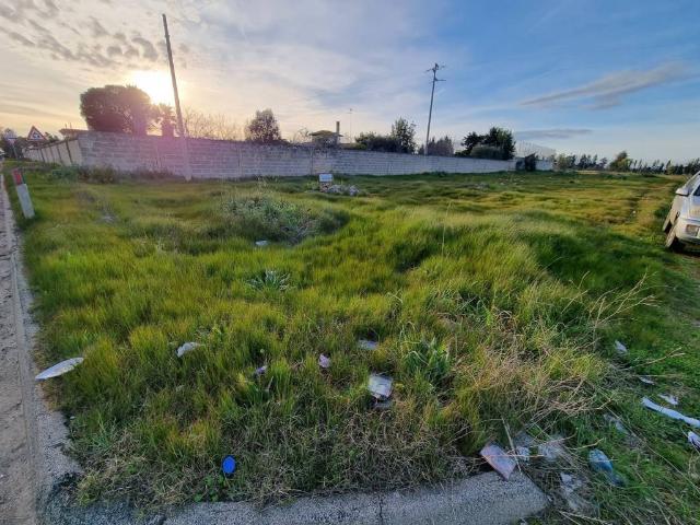 Terreno in vendita a Puglia, Lecce