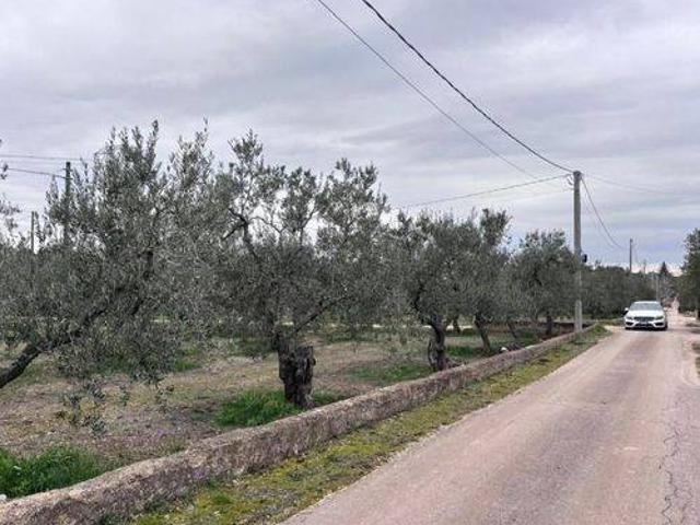 Terreno in vendita a Corato, Bari