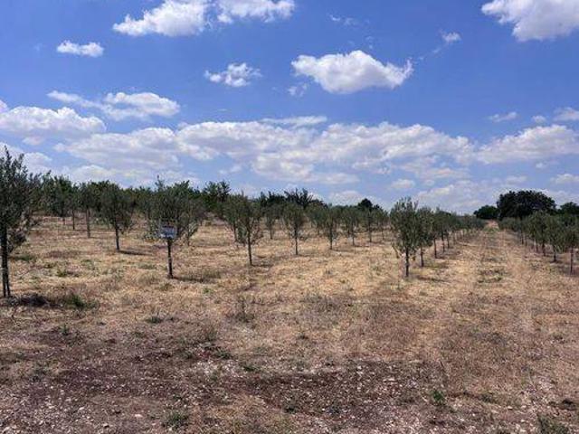 Terreno in vendita a Corato, Bari