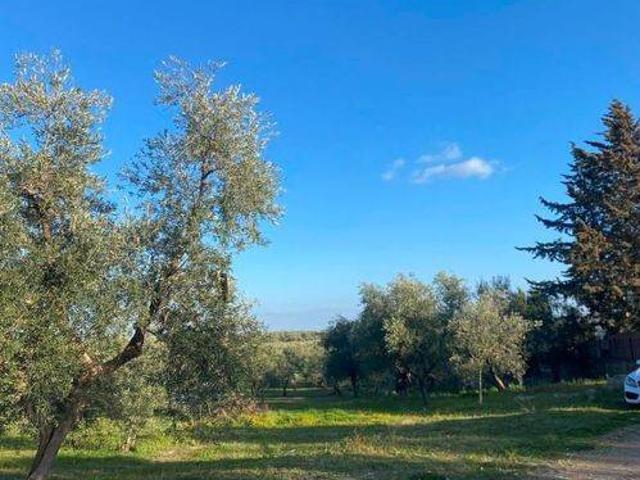 Terreno in vendita a Corato, Bari