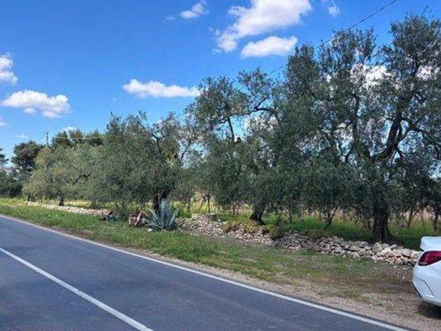 Terreno in vendita a Corato, Bari