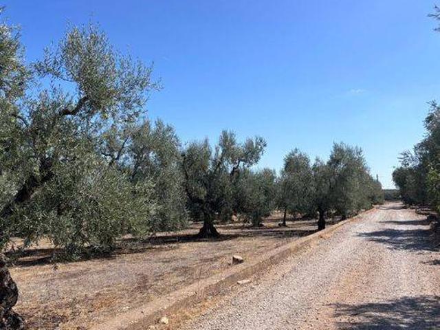 Terreno in vendita a Corato, Bari