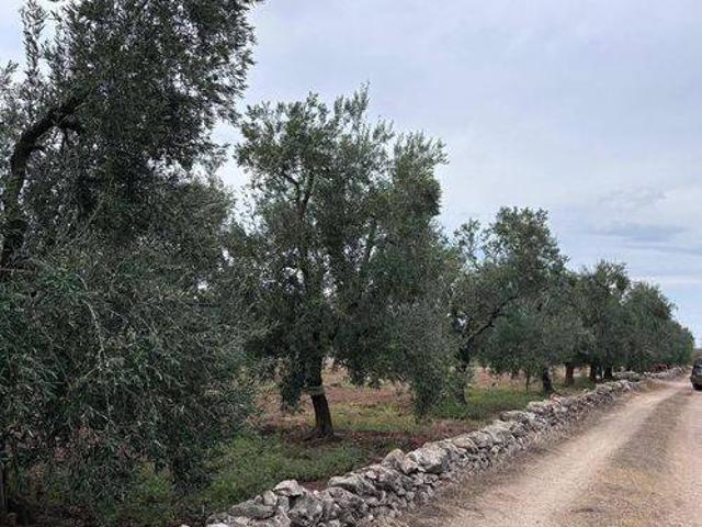Terreno in vendita a Corato, Bari