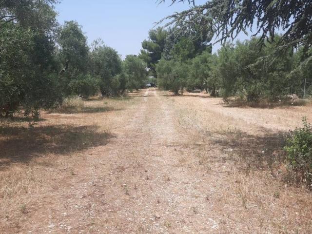 Terreno in vendita a Puglia, Bari