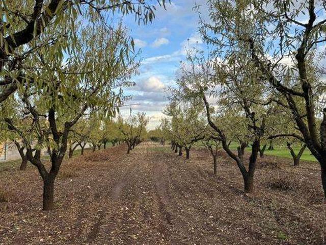 Terreno in vendita a Puglia, Bari