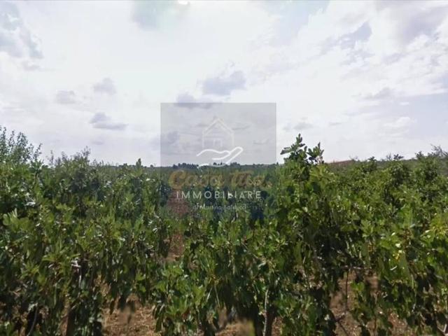 Terreno in vendita a Corato, Bari