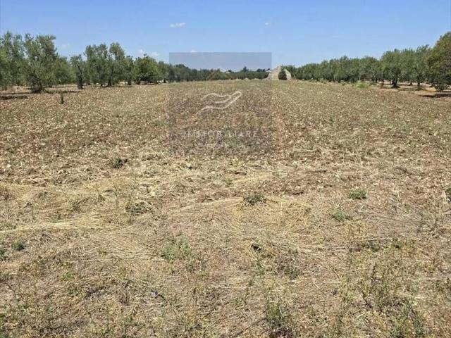 Terreno in vendita a Corato, Bari