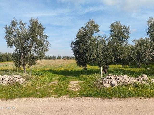 Terreno in vendita a Puglia, Bari