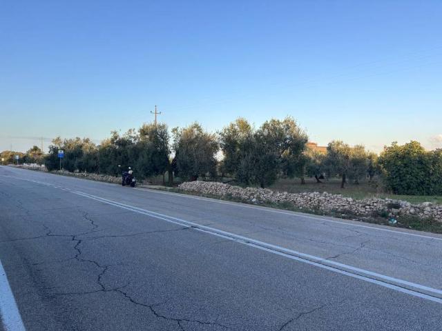Terreno in vendita a Corato, Bari