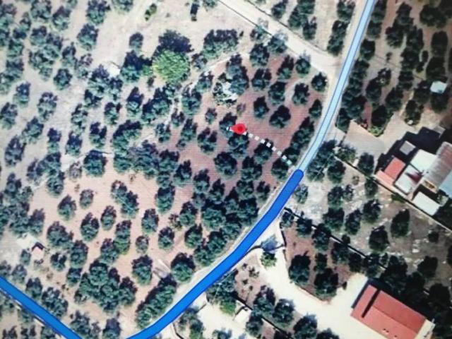 Terreno in vendita a Corato, Bari