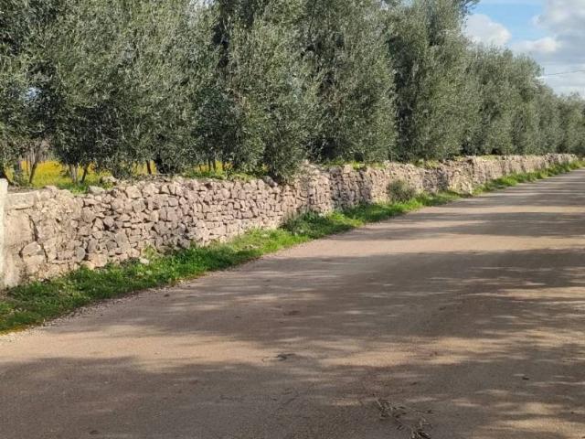 Terreno in vendita a Corato, Bari