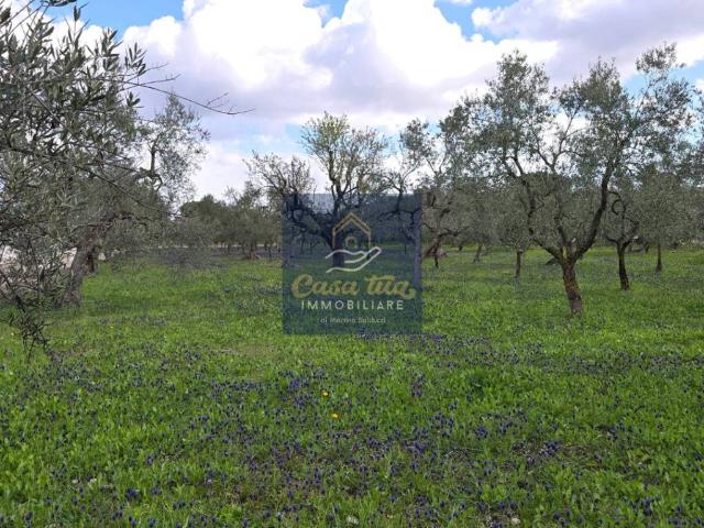 Terreno in vendita a Corato, Bari