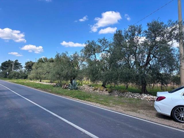 Terreno in vendita a Corato, Bari