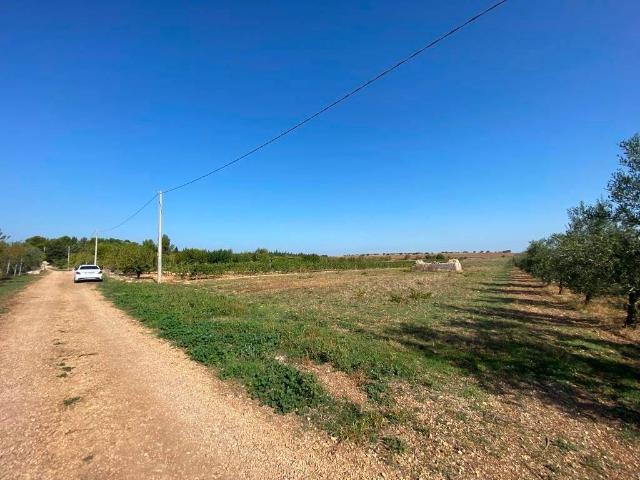 Terreno in vendita a Corato, Bari