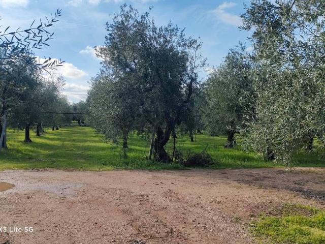 Terreno in vendita a Puglia, Bari