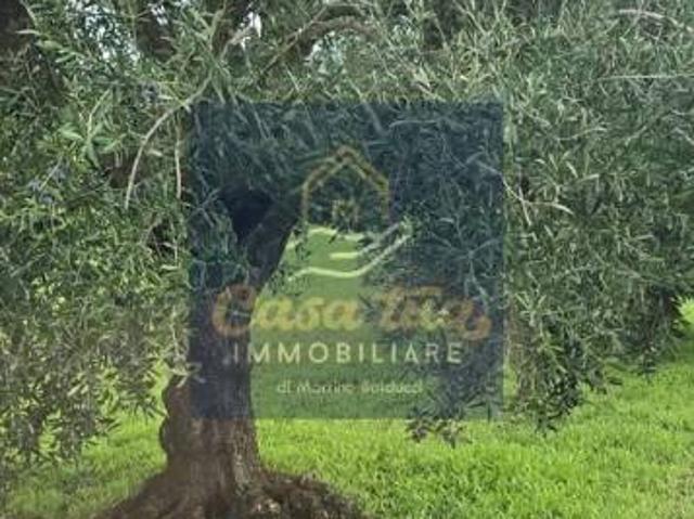 Terreno in vendita a Puglia, Bari