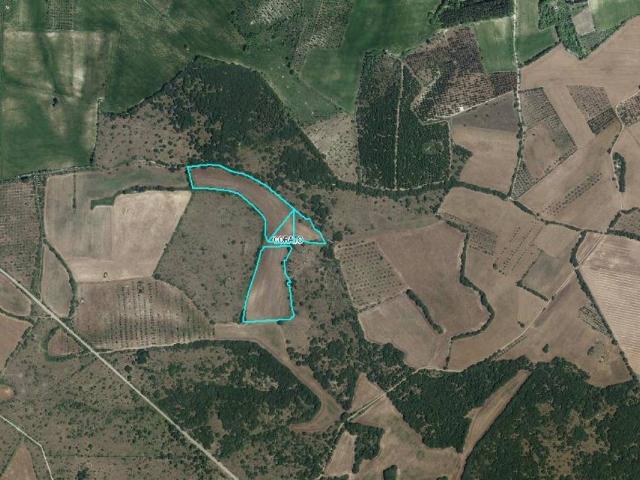 Terreno in vendita a Corato, Bari