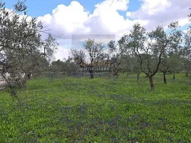 Terreno in vendita a Puglia, Bari