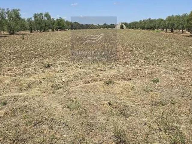 Terreno in vendita a Puglia, Bari