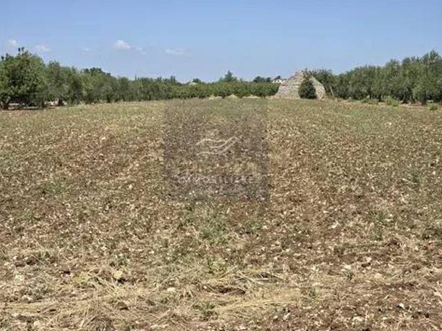 Terreno in vendita a Puglia, Bari