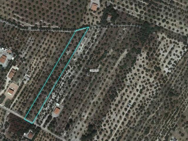 Terreno in vendita a Puglia, Bari
