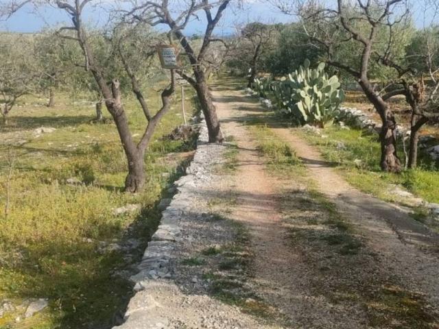 Terreno in vendita a Puglia, Bari