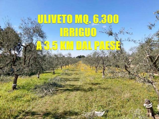 Terreno in vendita a Puglia, Bari