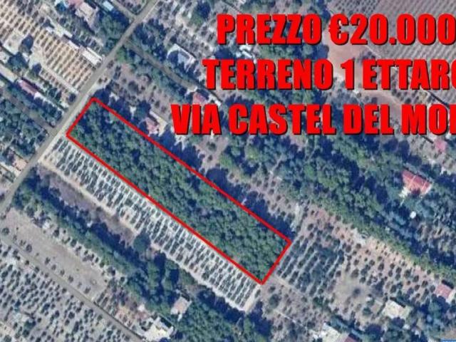 Terreno in vendita a Puglia, Bari