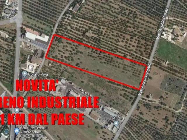 Terreno in vendita a Puglia, Bari