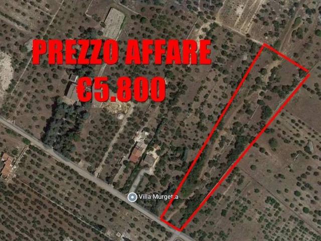 Terreno in vendita a Puglia, Bari