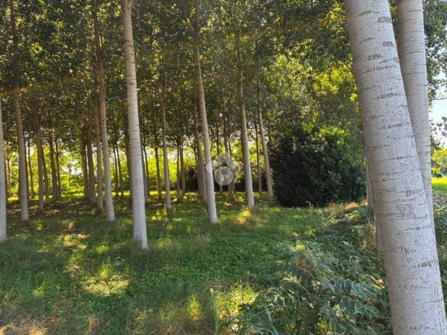 Terreno in vendita a Battuello, Corbetta
