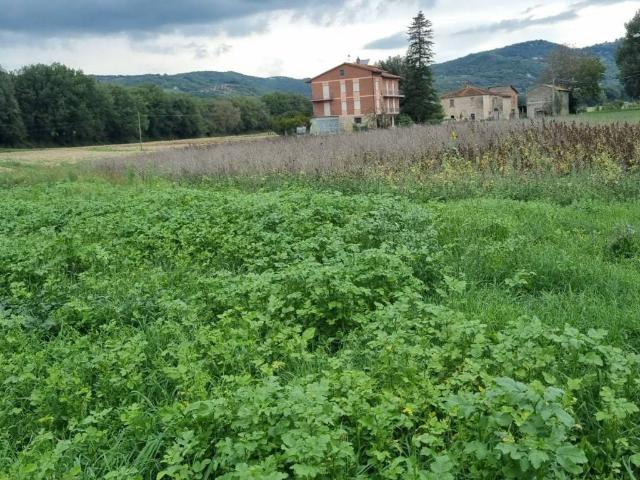 Terreno in vendita a Corciano, Umbria