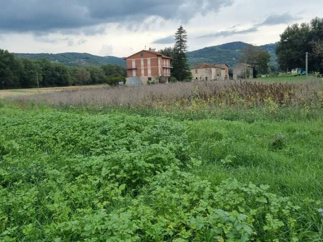 Terreno in vendita a Corciano, Umbria