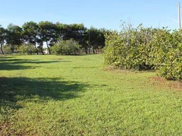 Terreno in vendita a Cenerente, Umbria