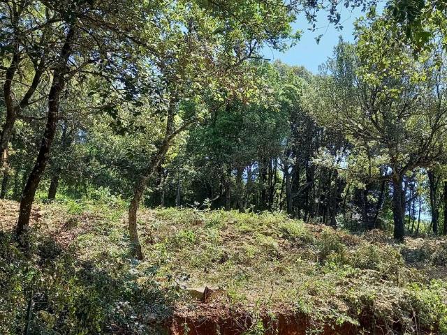 Terreno in vendita a Chiugiana, Corciano