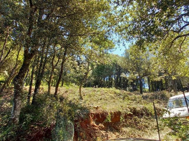 Terreno in vendita a Chiugiana, Corciano