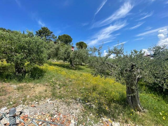 Terreno in vendita a Corciano, Umbria