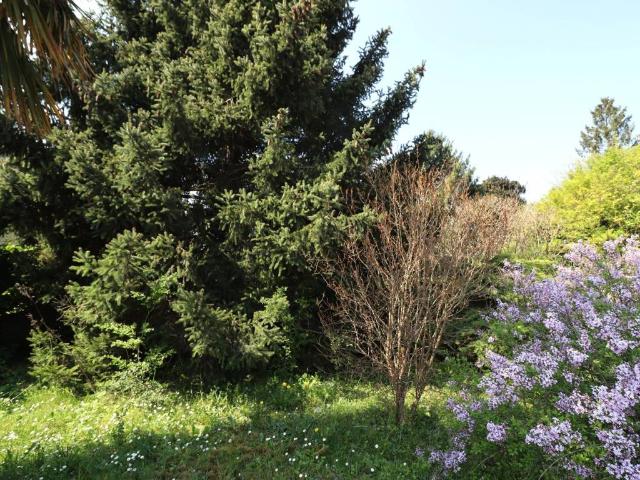 Terreno in vendita a Cordenons, Friuli-Venezia Giulia