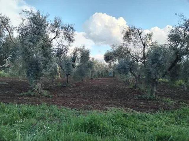 Terreno in vendita a Cori, Latina