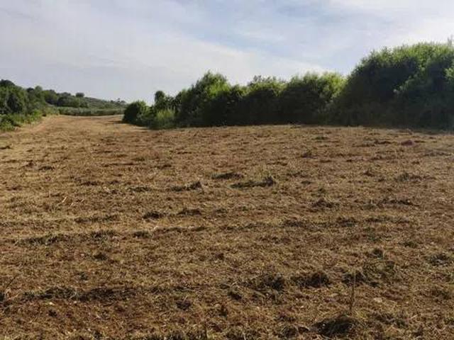 Terreno in vendita a Cori, Latina