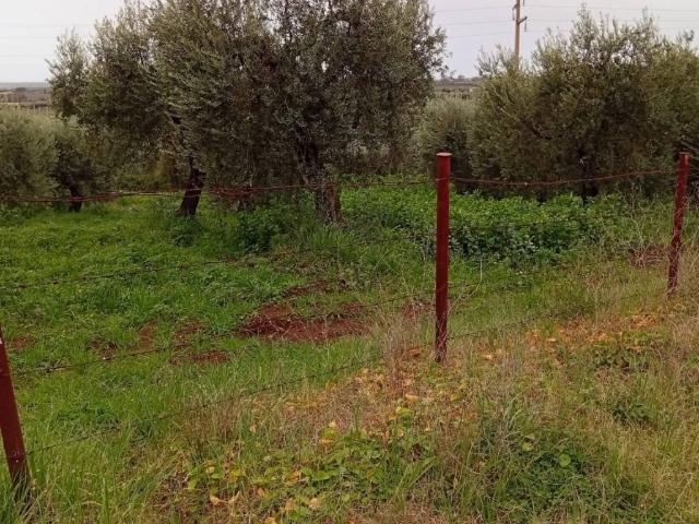 Terreno in vendita a Cori, Lazio
