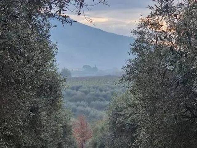 Terreno in vendita a Cori, Latina