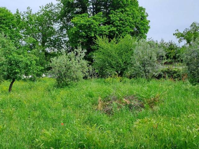 Terreno in vendita a Cori, Lazio