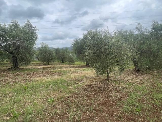 Terreno in vendita a Cori, Lazio