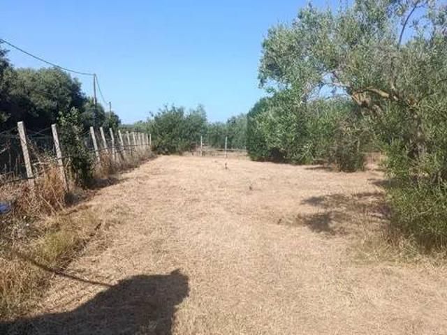 Terreno in vendita a Cori, Latina