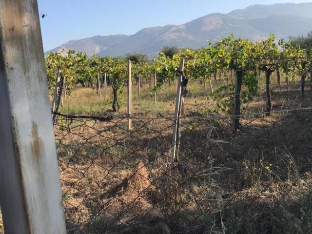 Terreno in vendita a Cori, Lazio